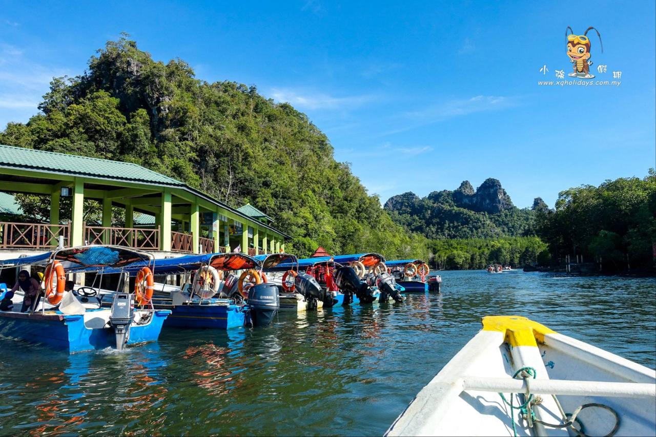 Jelajahi Pesona Hutan Bakau Langkawi dengan Mangrove Tour